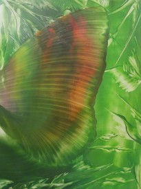 IMG_1396крыло3.jpg (337.13 КБ, Просмотров: 4379) IMG_1396крыло3.jpg