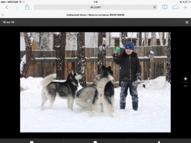 4T1RBsCFweA.jpg (54.22 КБ, Просмотров: 3306) 4T1RBsCFweA.jpg