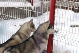 JVFhdq1-NCw.jpg (58.84 КБ, Просмотров: 3239) JVFhdq1-NCw.jpg