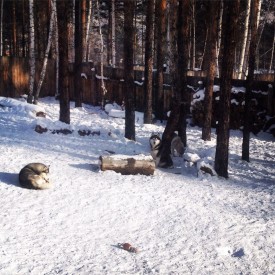 w2Jashmjbkg.jpg (306.84 КБ, Просмотров: 3497) w2Jashmjbkg.jpg