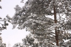 wJ1zUpuMJsc.jpg (93.07 КБ, Просмотров: 3242) wJ1zUpuMJsc.jpg