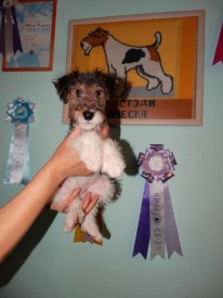 DceX4hlv0v4.jpg (51.46 КБ, Просмотров: 3258) DceX4hlv0v4.jpg