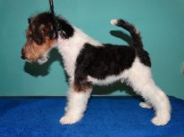 DSC03039.JPG (7.18 КБ, Просмотров: 3257) DSC03039.JPG