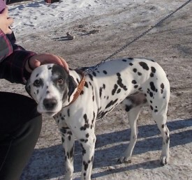 image.jpg (91.91 КБ, Просмотров: 1951) image.jpg