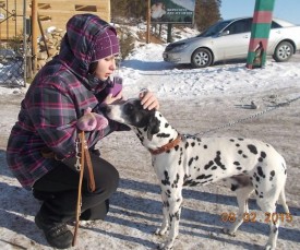 image.jpg (119.84 КБ, Просмотров: 1942) image.jpg