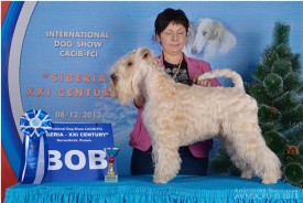 bob 2013_ 1.jpg (123.63 КБ, Просмотров: 1365) bob 2013_ 1.jpg