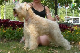 отец-Пират Флинт.jpg (78.6 КБ, Просмотров: 1364) отец-Пират Флинт.jpg