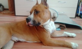 d7RscHS8AWw.jpg (123.06 КБ, Просмотров: 1986) d7RscHS8AWw.jpg