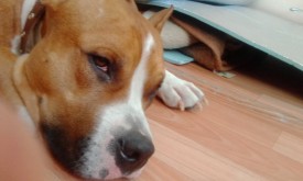 EnO1rpRV5jA.jpg (118.93 КБ, Просмотров: 1986) EnO1rpRV5jA.jpg