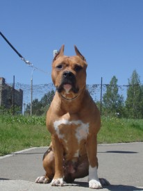 FK151zbo.jpg (130.29 КБ, Просмотров: 1974) FK151zbo.jpg