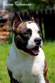 GDoNkfeb9yY.jpg (91.36 КБ, Просмотров: 2031) GDoNkfeb9yY.jpg