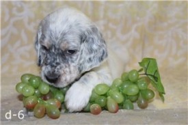 -1271432786.jpg (15.24 КБ, Просмотров: 2197) -1271432786.jpg