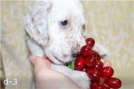 -1271432789.jpg (13.86 КБ, Просмотров: 2347) -1271432789.jpg