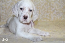 -1271432790 (1).jpg (13.07 КБ, Просмотров: 2344) -1271432790 (1).jpg