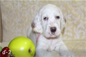 -1271432790.jpg (12.68 КБ, Просмотров: 2344) -1271432790.jpg