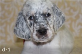 -1271432791 (1).jpg (13.19 КБ, Просмотров: 2347) -1271432791 (1).jpg