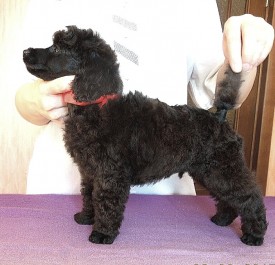 IMG_20150210_155808.jpg (190.22 КБ, Просмотров: 3514) IMG_20150210_155808.jpg