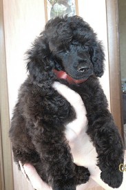 IMG_20150210_155319.jpg (118.45 КБ, Просмотров: 3378) IMG_20150210_155319.jpg