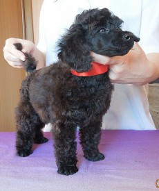 IMG_20150210_095739.jpg (150.22 КБ, Просмотров: 3097) IMG_20150210_095739.jpg