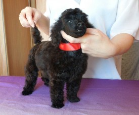 IMG_20150210_072000.jpg (230.49 КБ, Просмотров: 3378) IMG_20150210_072000.jpg