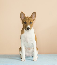 СтешаЛицо3месАк.jpg (429.87 КБ, Просмотров: 2496) СтешаЛицо3месАк.jpg