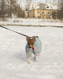 Стеша12Ак.jpg (511.44 КБ, Просмотров: 2622) Стеша12Ак.jpg