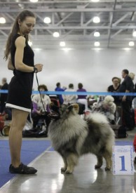 Fenix.s2.jpg (102.28 КБ, Просмотров: 3479) Fenix.s2.jpg