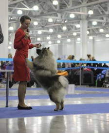 Fenix.s3.jpg (103.76 КБ, Просмотров: 3360) Fenix.s3.jpg