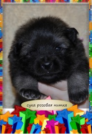 VipTalisman6.jpg1мб.jpg (362.49 КБ, Просмотров: 3360) VipTalisman6.jpg1мб.jpg