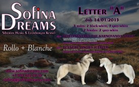 мал.jpg (265.3 КБ, Просмотров: 1613) мал.jpg