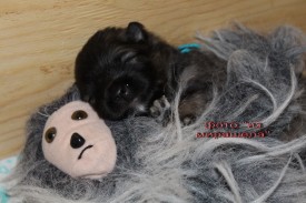 IMG_5536.jpgнадпись.jpg1.jpg (360.26 КБ, Просмотров: 3324) IMG_5536.jpgнадпись.jpg1.jpg