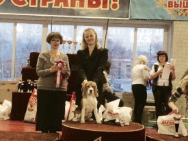 image.jpg (156.73 КБ, Просмотров: 7287) image.jpg