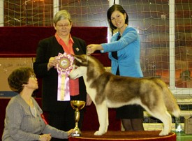 11004795_960130027355296_1438461953_n.jpg (85.84 КБ, Просмотров: 7710) 11004795_960130027355296_1438461953_n.jpg