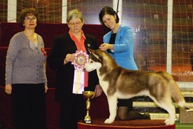 11009041_960130024021963_1848151491_n.jpg (71.52 КБ, Просмотров: 7711) 11009041_960130024021963_1848151491_n.jpg