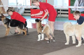 11010298_1802739099950405_7414733784018825197_n.jpg (105.02 КБ, Просмотров: 7117) 11010298_1802739099950405_7414733784018825197_n.jpg