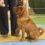 дисквал.jpg (4.97 КБ, Просмотров: 8483) дисквал.jpg