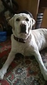 image.jpg (35.04 КБ, Просмотров: 2224) image.jpg