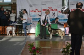 10371381_708259889271428_5665680614450951460_n.jpg (81.81 КБ, Просмотров: 9398) 10371381_708259889271428_5665680614450951460_n.jpg