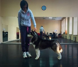 Bou9Icl4K1Y.jpg (140.23 КБ, Просмотров: 9601) Bou9Icl4K1Y.jpg