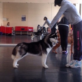 bxRSTF6J_u0.jpg (145.59 КБ, Просмотров: 10460) bxRSTF6J_u0.jpg