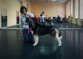 gq70h3PHUts.jpg (113.6 КБ, Просмотров: 9604) gq70h3PHUts.jpg