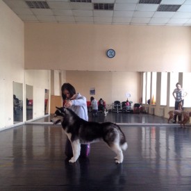 Lmy7f7rvVwo.jpg (161.77 КБ, Просмотров: 10004) Lmy7f7rvVwo.jpg