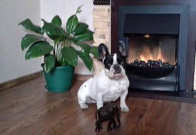 чарук.jpg (43.67 КБ, Просмотров: 1586) чарук.jpg