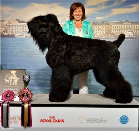 8c05a5b18bde.jpg (217.63 КБ, Просмотров: 1426) 8c05a5b18bde.jpg