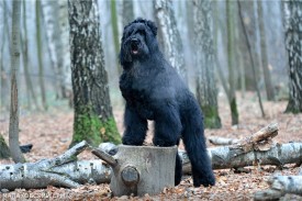 16a4f035f0e2.jpg (166.79 КБ, Просмотров: 1426) 16a4f035f0e2.jpg