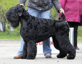 showsphoto.php.jpg (282.5 КБ, Просмотров: 1426) showsphoto.php.jpg