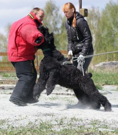 KDUUOmd90uA.jpg (133.63 КБ, Просмотров: 1426) KDUUOmd90uA.jpg