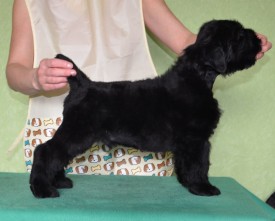 k0zOoEHM07o.jpg (72.52 КБ, Просмотров: 1426) k0zOoEHM07o.jpg