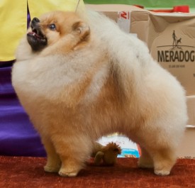 DSC_0384111.jpg (237.6 КБ, Просмотров: 4004) DSC_0384111.jpg