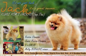 a3f925f8040e4c4ab66efc8c0ad64c37 (1).jpg (165.13 КБ, Просмотров: 3895) a3f925f8040e4c4ab66efc8c0ad64c37 (1).jpg